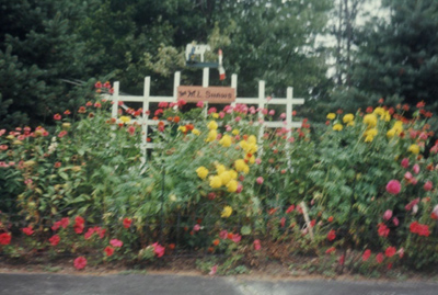 Summer 1960 – ML Shaw’s flower garden